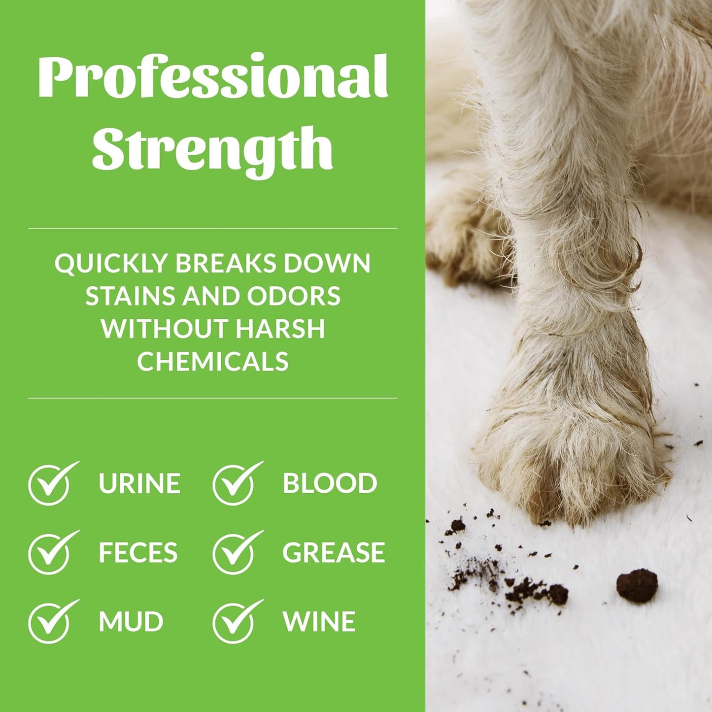 SKOUT'S HONOR Severe Mess Stain & Odor Eliminator, Powerful Stain Remover and Carpet Cleaner for Tough Dog Messes, Eco-Friendly Carpet Deodorizer, Cleaning Spray and Poop Spray, 35 oz