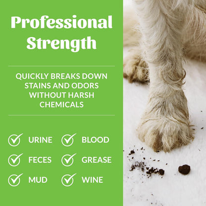 SKOUT'S HONOR Severe Mess Stain & Odor Eliminator, Powerful Stain Remover and Carpet Cleaner for Tough Dog Messes, Eco-Friendly Carpet Deodorizer, Cleaning Spray and Poop Spray, 35 oz