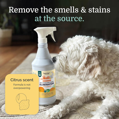 Hepper Advanced Bio-Enzyme Pet Stain & Odor Eliminator Spray - Smell, Stain & Urine Remover for Cats, Dogs & Other Animals - 32oz Spray Safe for the Home - Neutral