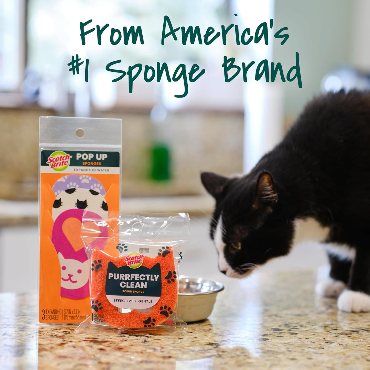Scotch-Brite Doggone Tidy Non-Scratch Scrub Sponge, Two- Sided, Limited Edition, 1 Sponge