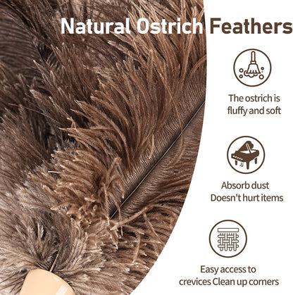 Ostrich Feather Duster 12 Inch Handheld Duster Supplies, Wooden Handle Feather Duster for Cleaning Keyboard Home Car Office (Champagne)