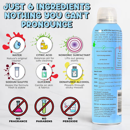 Stain Remover Spray | Non-Toxic Stain Remover Family Safe Formula | Bag-On-Valve 360° Continuous Spray Bottle | Cleaner for Clothes, Upholstery, Carpet & Car Seats 4.2 Oz, (Pack of 1)
