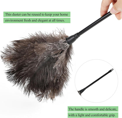 Ostrich Feather Duster 12 Inch Handheld Duster Supplies, Wooden Handle Feather Duster for Cleaning Keyboard Home Car Office (Champagne)