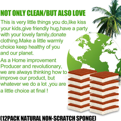 Natural Plant Based Scrub Sponge 12 Pack, Palm Fiber Scrubbing Sponge with Non Scratch Biodegradable Compostable Sponges,Long Lasting No Smell Dishwashing Kitchen Scrubber
