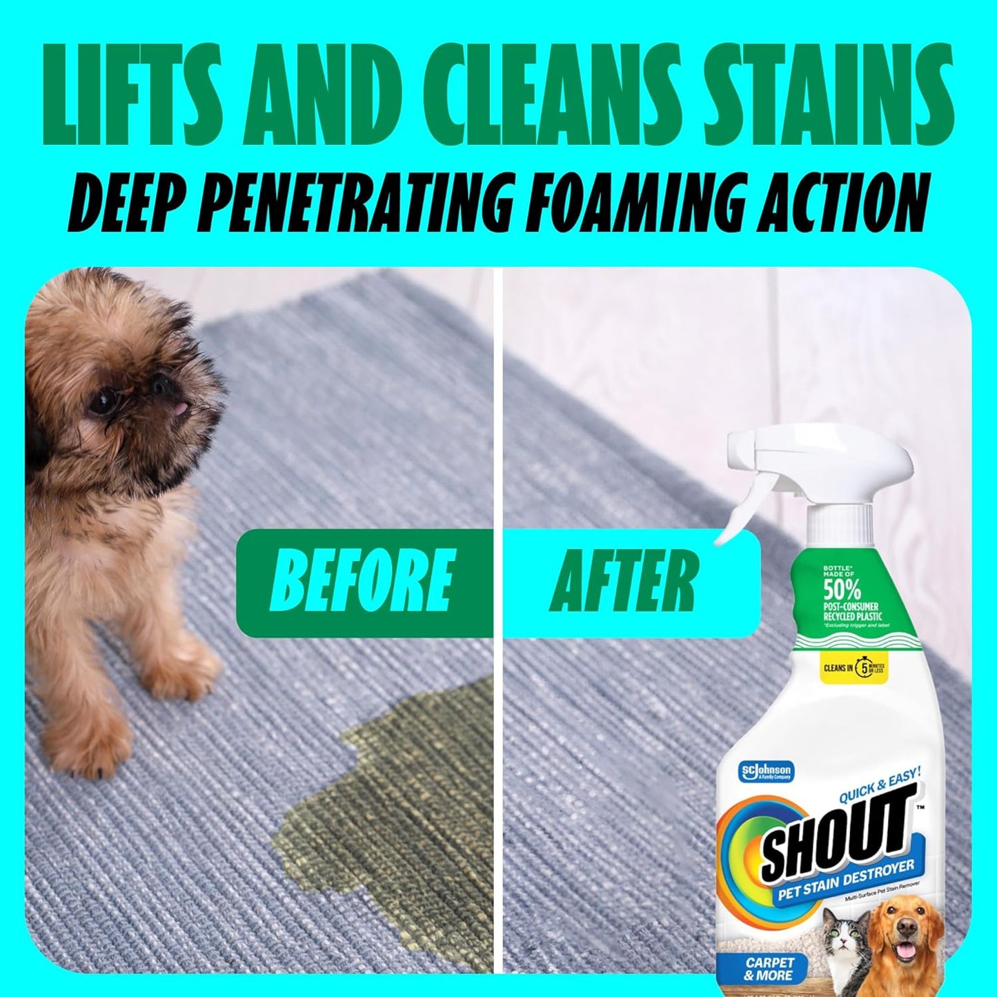 Shout Pet Stain Remover Spray, Color-Safe Multisurface & Carpet Cleaner Solution for Dog & Cat Urine, Feces, Vomit & Mud, Fights Odors & Remarking, Fast-Acting Cleans in 5 Minutes or Less, 22oz