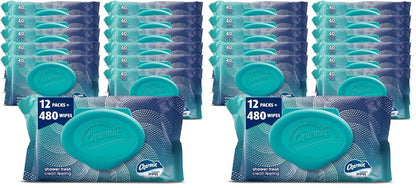 Charmin Flushable Wipes, 160 Total Wipes (4 Packs of 40)