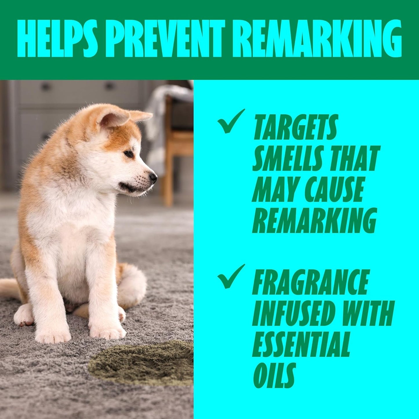 Shout Pet Stain Remover Spray, Color-Safe Multisurface & Carpet Cleaner Solution for Dog & Cat Urine, Feces, Vomit & Mud, Fights Odors & Remarking, Fast-Acting Cleans in 5 Minutes or Less, 22oz