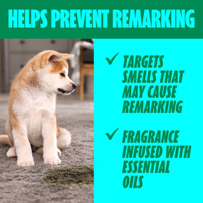 Shout Pet Stain Remover Spray, Color-Safe Multisurface & Carpet Cleaner Solution for Dog & Cat Urine, Feces, Vomit & Mud, Fights Odors & Remarking, Fast-Acting Cleans in 5 Minutes or Less, 22oz