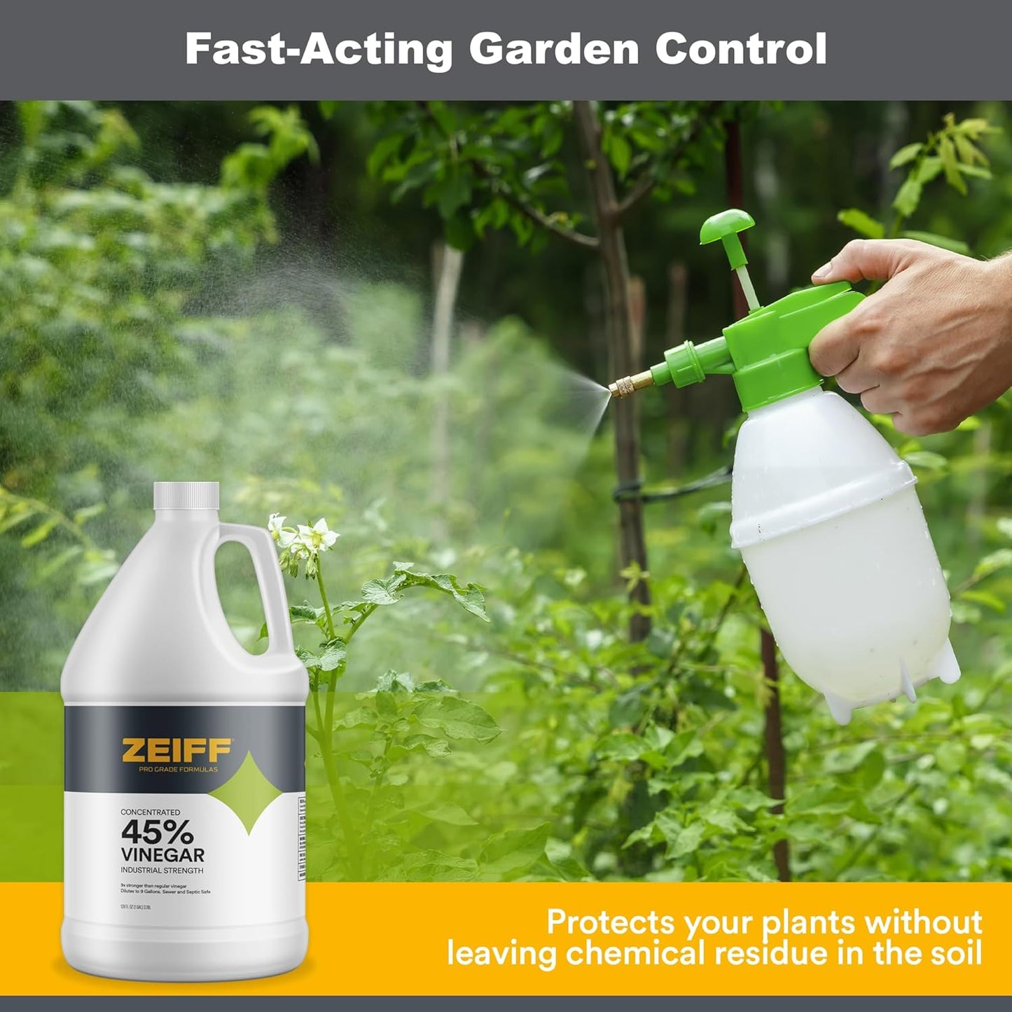 Zeiff 75% Pure Concentrated Vinegar - Technical Grade Acetic Acid Solution for Home and Outdoor Use - Cleaning Vinegar for Home & Laundry - 32 Oz, 2 Pack