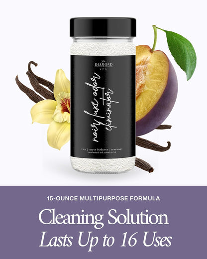 Home Noir Luxe Carpet Deodorizer Powder - Natural Odor Eliminator for Carpet, Upholstery, Pet Urine - Pet-Friendly - Black Plum, Sea Salt & Ozone Scent, Spring Cleaning