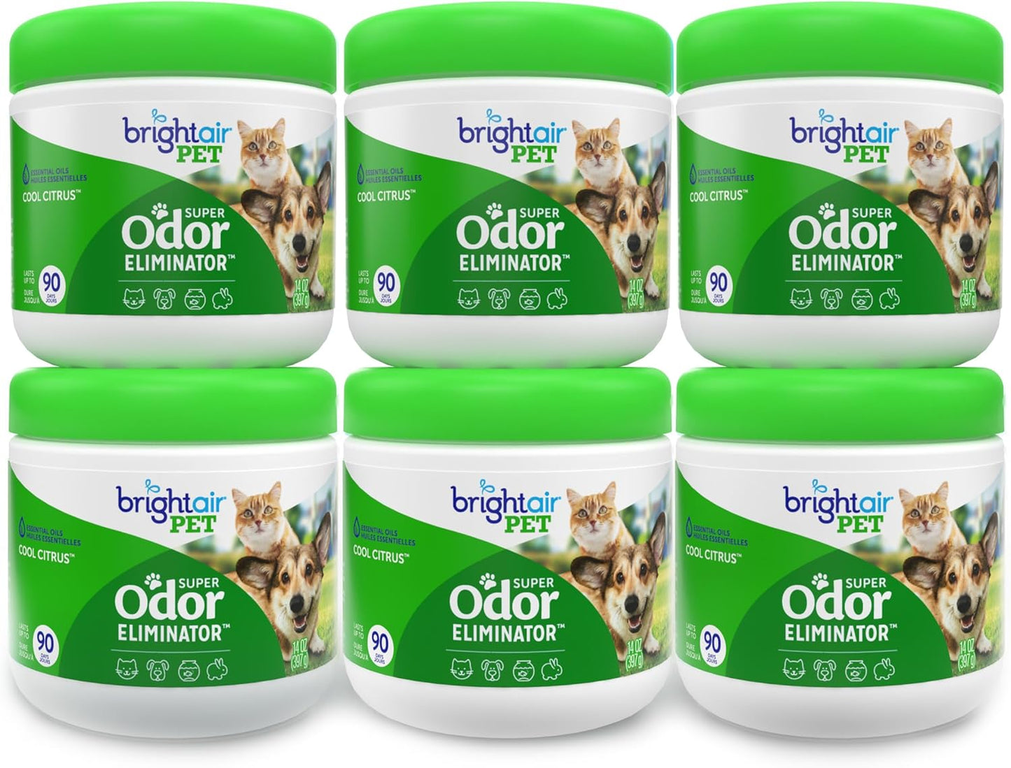 Bright Air 14 oz. Super Odor Eliminator, For Medium-Size Spaces, Cool & Clean Scent, Case of 6,Air Freshener, Natural Essential Oils, Lasts Up to 90 Days Each
