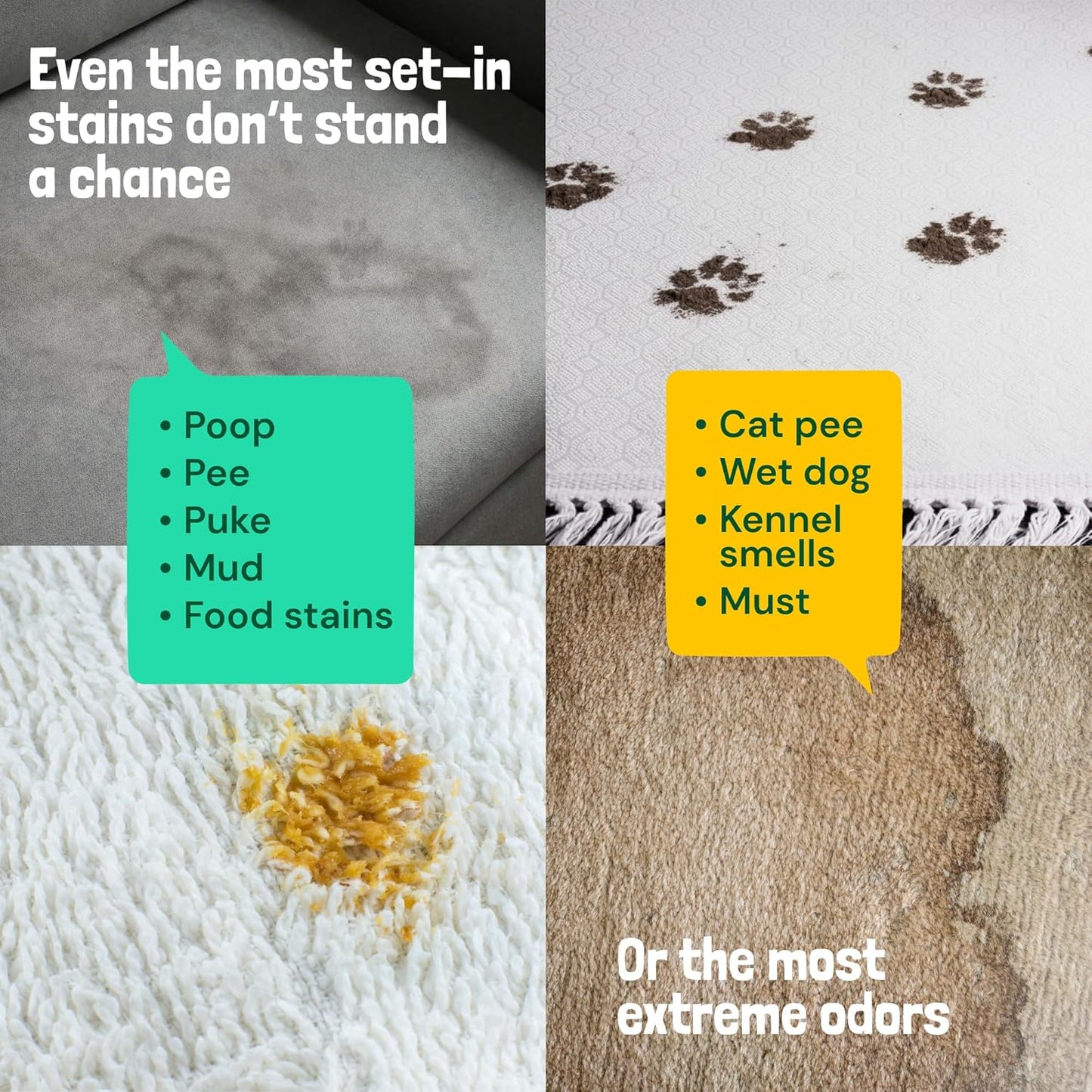 Sunny & Honey Pet Stain and Odor Remover - Enzyme Cleaner for Dog Urine and Poop on Carpets and Furniture - Strong Pet Carpet Cleaner Spray (1 Gallon Mint)