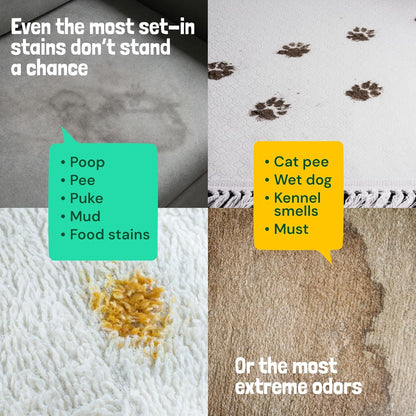 Sunny & Honey Pet Stain and Odor Remover - Enzyme Cleaner for Dog Urine and Poop on Carpets and Furniture - Strong Pet Carpet Cleaner Spray (1 Gallon Mint)