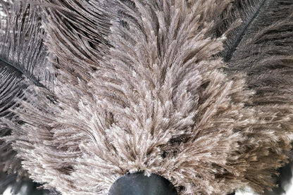 Royal Duster®, Premium Genuine Ostrich Feather Duster 14 inch