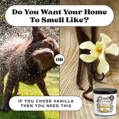 Pet-Pourri Pawsitively Fresh Pet Odor Deodorizer Candle, Burns Up to 45 Hours, Aromatherapy & Air Freshener with Essential Oils, Plant Based Ingredients & Wax, Vet Approved, Jasmine Pear Scent