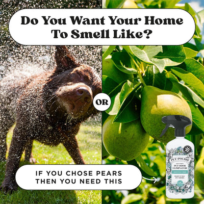Pet-Pourri Pawsitively Fresh Pet Odor Deodorizer Spray, 16 Fl Oz, Up to 800 Uses, Air + Fabric Odor Remover with Essential Oils & Plant Based Ingredients, Vet Recommended, Pineapple, Jasmine & Pear