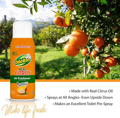 OdoBan 360-Degree Continuous Spray Natural Oil Real Citrus Orange Air Freshener, 10 Ounce, and Multipurpose Disinfectant Cleaner, 32 Ounce Spray, Made in the USA