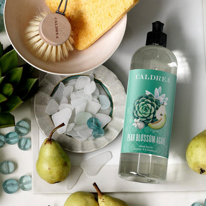 Caldrea Dish Soap, Biodegradable Dishwashing Liquid made with Soap Bark and Aloe Vera, Ginger Pomelo Scent, 16 oz