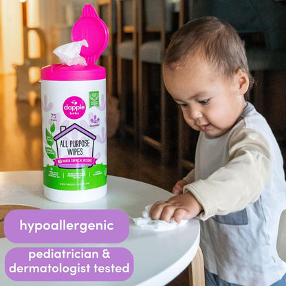 Dapple Baby All Purpose Cleaning Spray and All Purpose Wipes - (2 Pack) 16.9 fl oz Bottle - 30 Cleaning Wipes Total - Fragrance-Free, Hypoallergenic & Plant-Powered - Baby Essentials