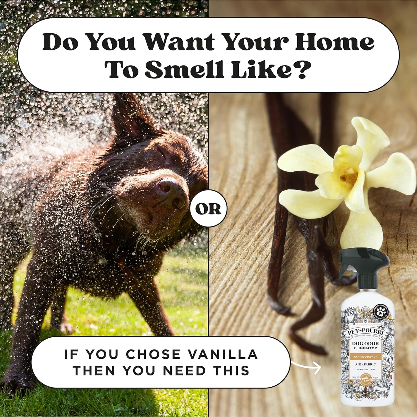 Pet-Pourri Pawsitively Fresh Pet Odor Deodorizer Spray, 16 Fl Oz, Up to 800 Uses, Air + Fabric Odor Remover with Essential Oils & Plant Based Ingredients, Vet Recommended, Pineapple, Jasmine & Pear