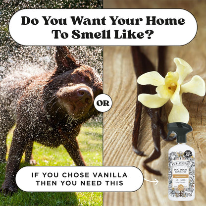 Pet-Pourri Pawsitively Fresh Pet Odor Deodorizer Spray, 16 Fl Oz, Up to 800 Uses, Air + Fabric Odor Remover with Essential Oils & Plant Based Ingredients, Vet Recommended, Pineapple, Jasmine & Pear