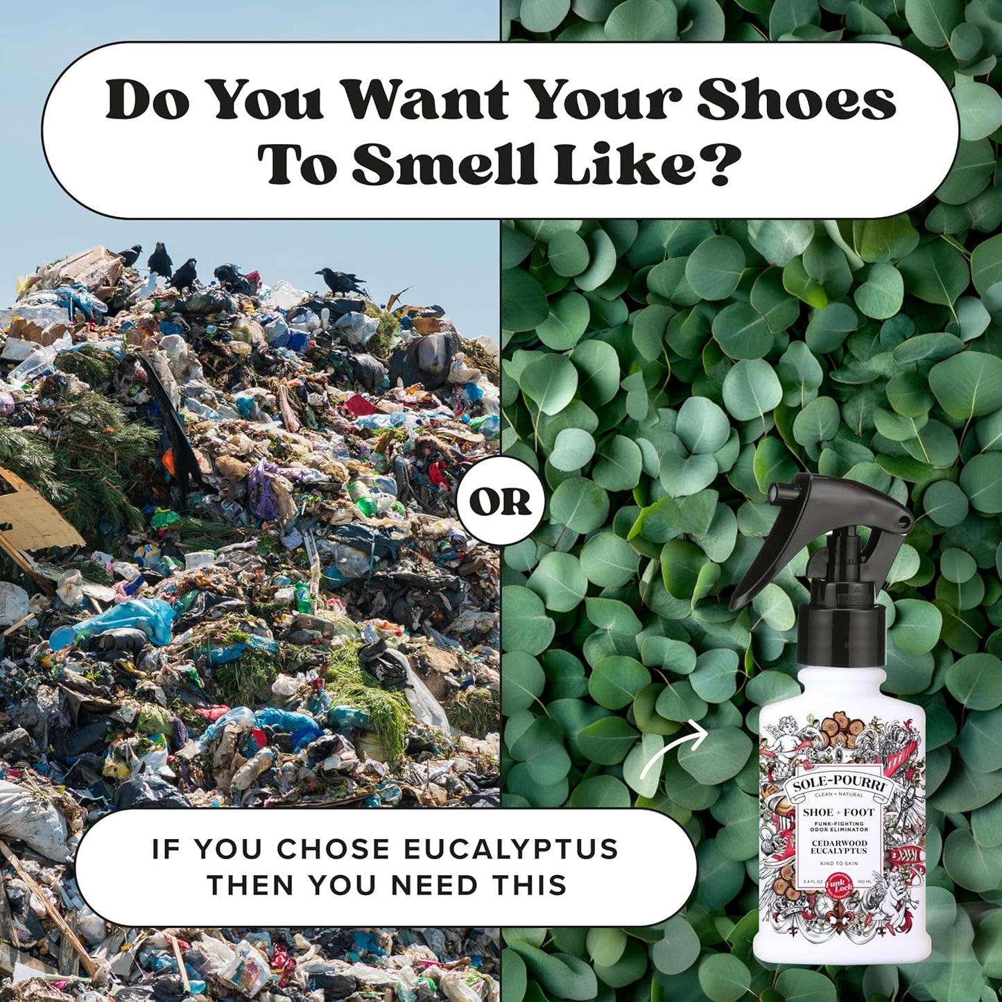 Sole-Pourri Shoe Deodorizer + Foot Spray, 3.4 Fl Oz, Up to 150 Uses, Funk-Fighting Odor Freshener with Essential Oils, for Smelly Shoes, Feet & Gym Bags, Citrus & Mint Scent