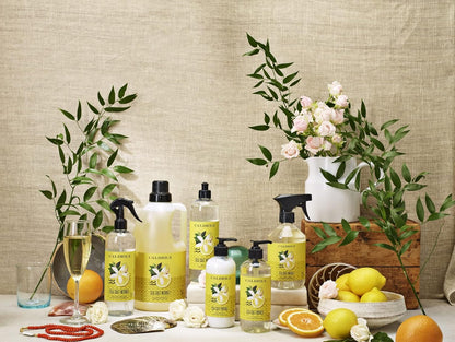 Caldrea Dish Soap, Biodegradable Dishwashing Liquid made with Soap Bark and Aloe Vera, Ginger Pomelo Scent, 16 oz