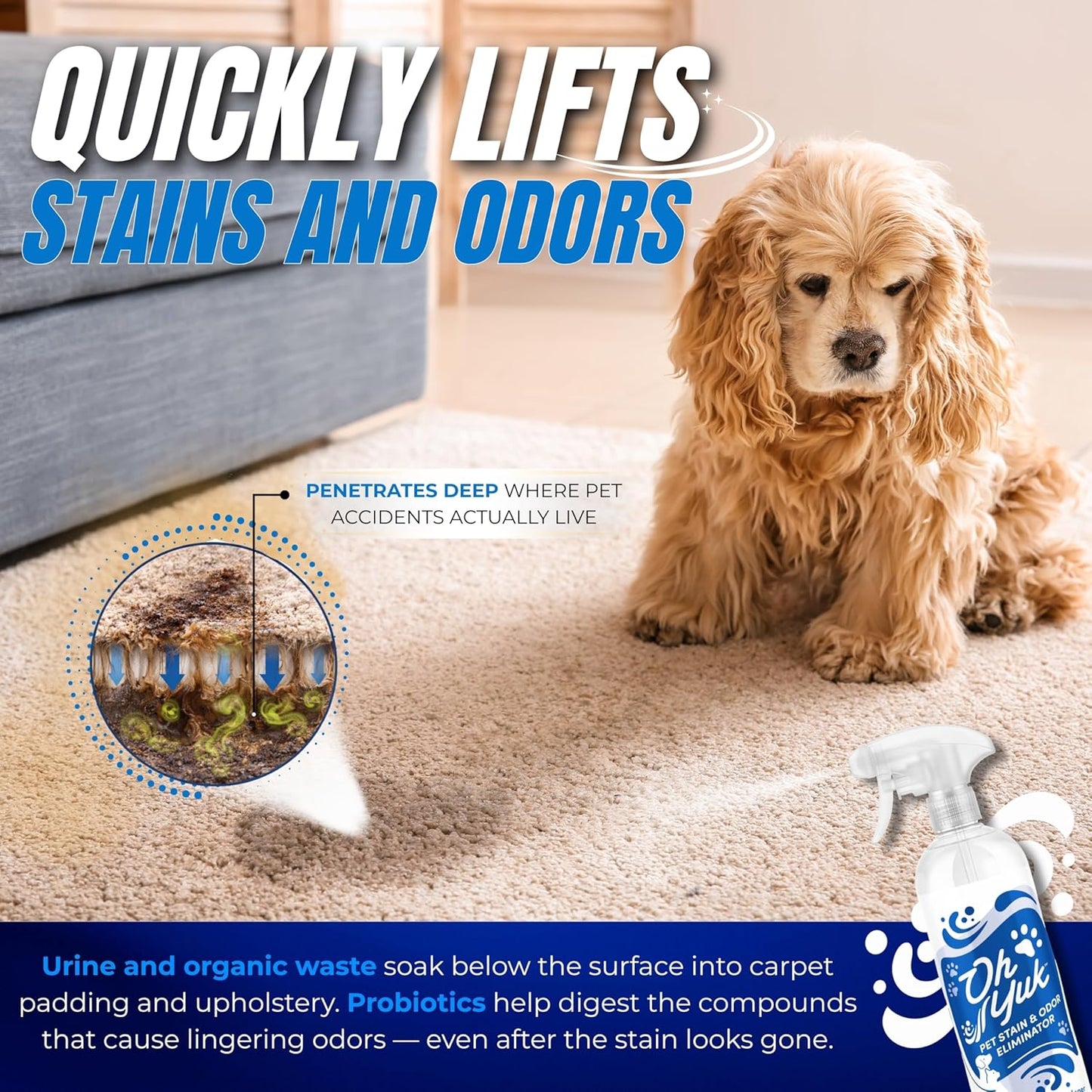 Oh Yuk Probiotics Pet Odor Eliminator and Stain Remover Spray – Dog & Cat Urine and Poop Odor Eliminator for Home, Pet Pee Smell Remover & Deodorizer – 27 fl oz (Fresh Ginger Lime)