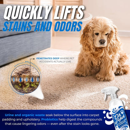 Oh Yuk Probiotics Pet Odor Eliminator and Stain Remover Spray – Dog & Cat Urine and Poop Odor Eliminator for Home, Pet Pee Smell Remover & Deodorizer – 27 fl oz (Fresh Ginger Lime)