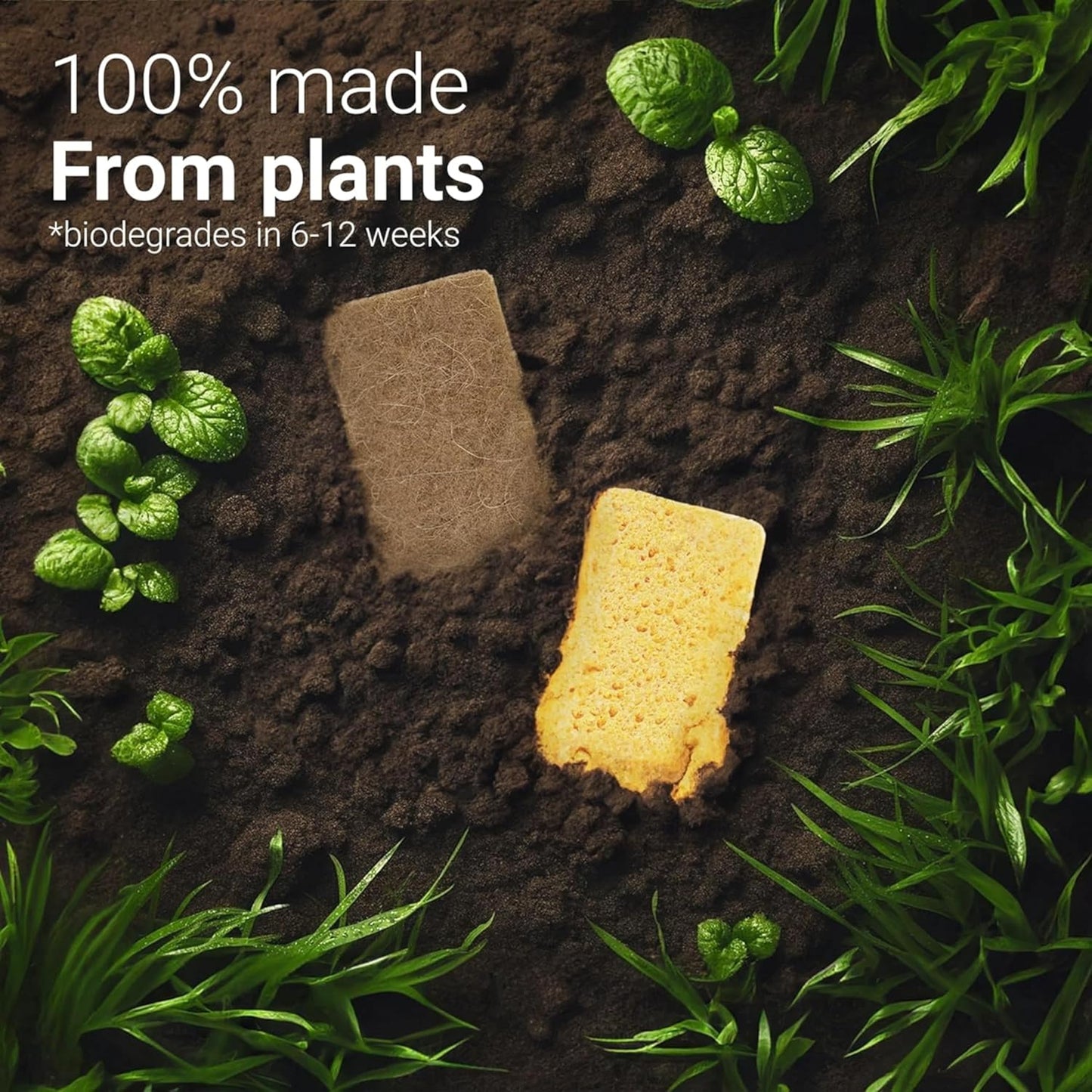 bioGo 12 Pack Natural Biodegradable Kitchen Sponges - Eco-Friendly, Compostable, Cellulose Dish - Compostable - Biodegradable - Cellulose Sponge