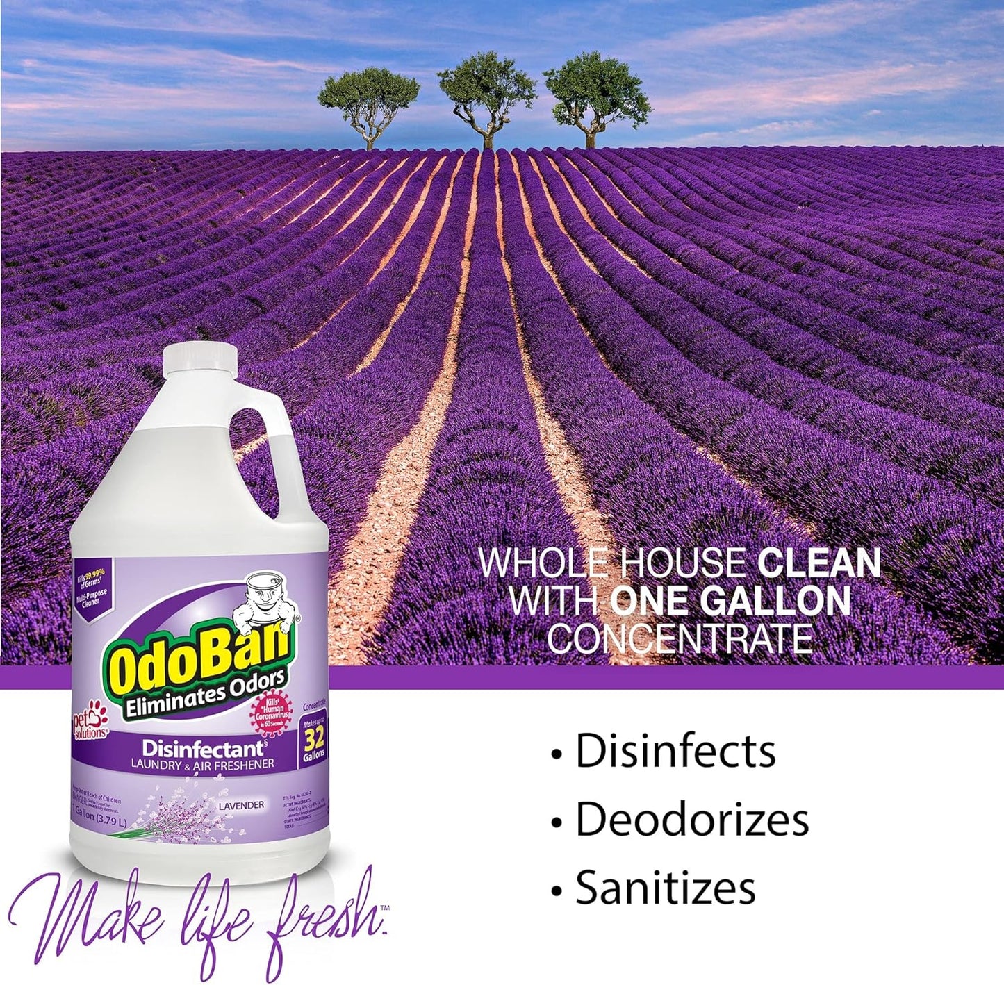 OdoBan Disinfectant Concentrate and Odor Eliminator, Made in the USA, Original Eucalyptus Scent, 1 Gallon