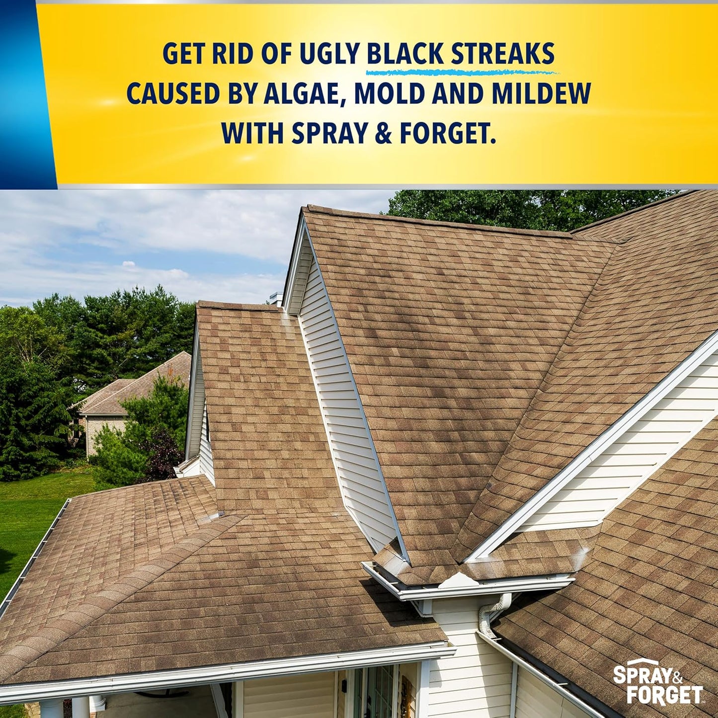 Spray & Forget 1-Gallon Concentrated Roof Cleaner