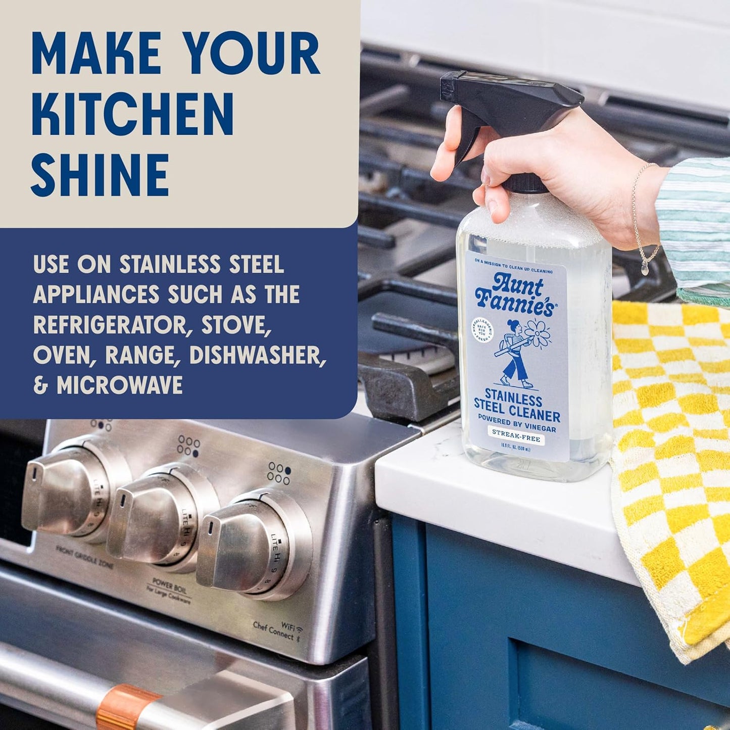 Aunt Fannie's Stainless Steel Spray Cleaner, Powered by Vinegar, Fingerprint and Residue Remover for Refrigerator, Dishwasher, Oven, Grill, Sink, Stovetop, and Other Appliances, Pack of 1