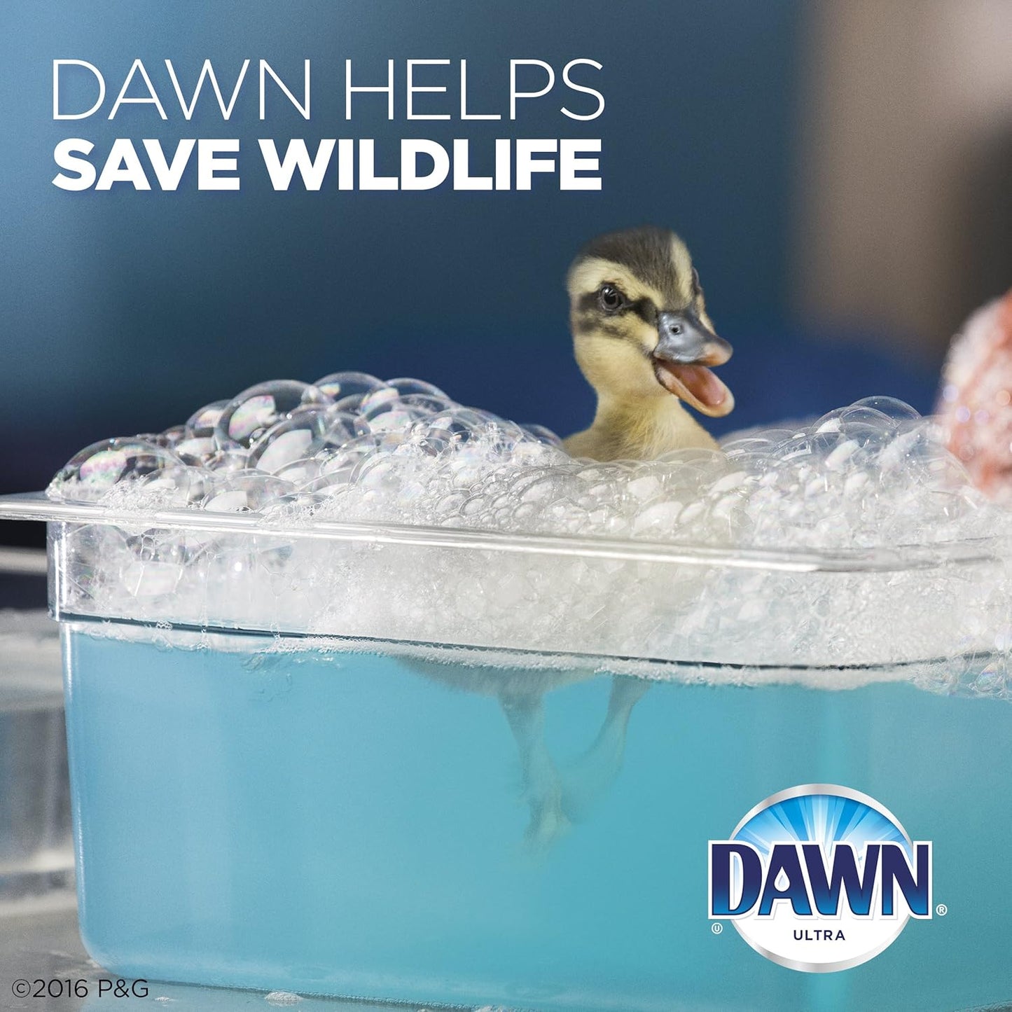 Dawn Dishwashing Liquid, Original Scent, 38 fl oz