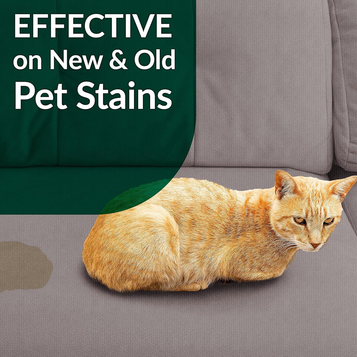 Cat Stain & Odor Remover - Enzyme Cleaner for Cat Urine, Feces, Blood, Vomit - 32oz