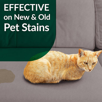 Cat Stain & Odor Remover - Enzyme Cleaner for Cat Urine, Feces, Blood, Vomit - 32oz