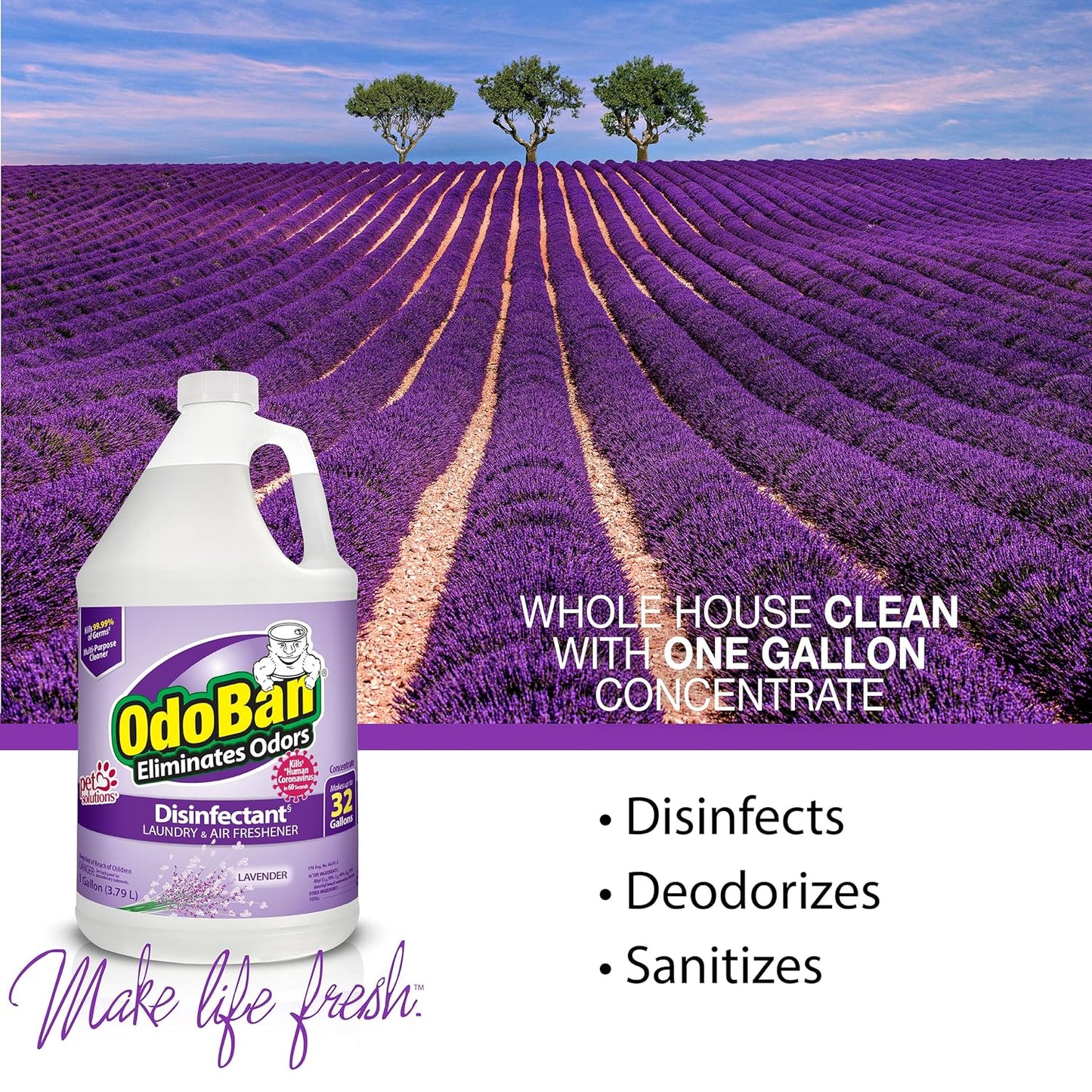 OdoBan Disinfectant Concentrate and Odor Eliminator, 2 Gallons, Citrus Scent