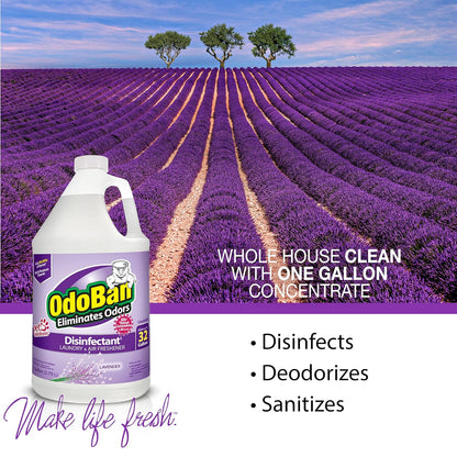OdoBan Disinfectant Concentrate and Odor Eliminator, 2 Gallons, Citrus Scent