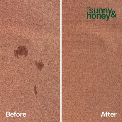 Sunny & Honey Pet Stain and Odor Remover - Enzyme Cleaner for Dog Urine and Poop on Carpets and Furniture - Strong Pet Carpet Cleaner Spray (32fl oz Mint)