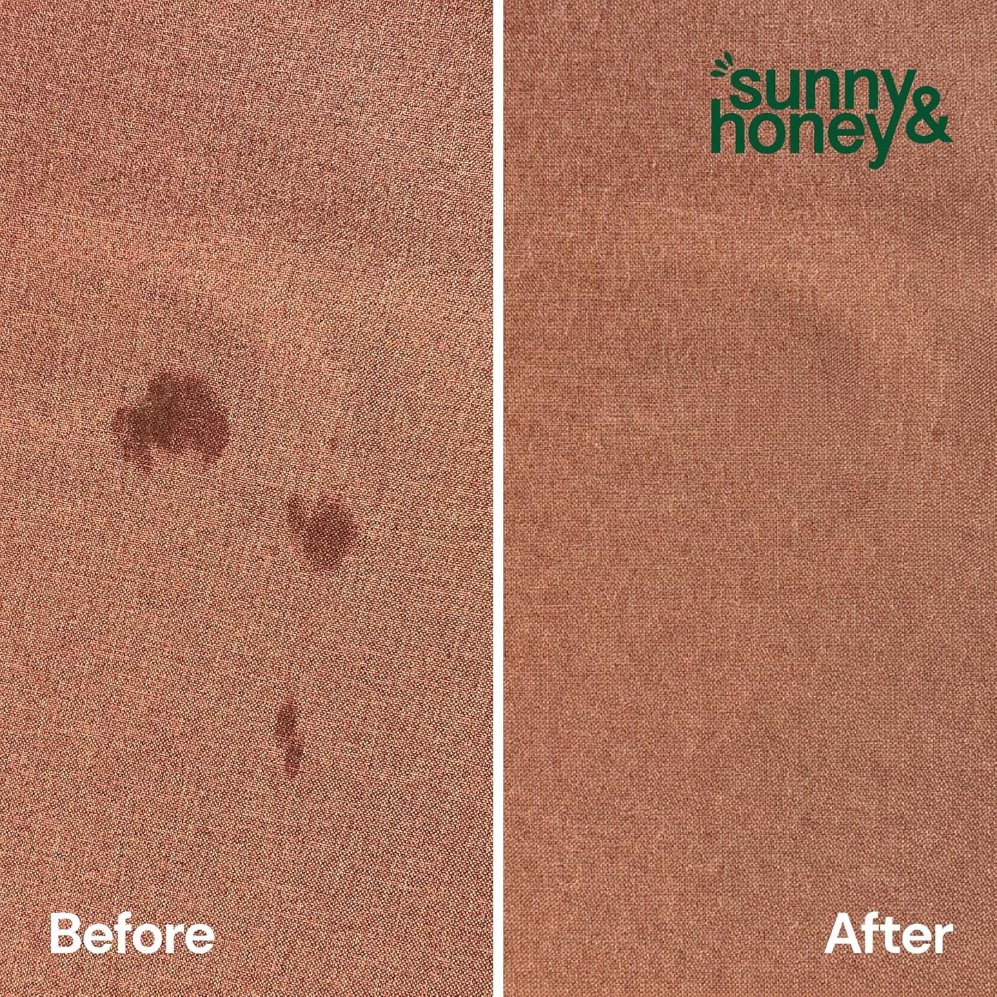 Sunny & Honey Pet Stain and Odor Remover - Enzyme Cleaner for Dog Urine and Poop on Carpets and Furniture - Strong Pet Carpet Cleaner Spray (1 Gallon Mint)