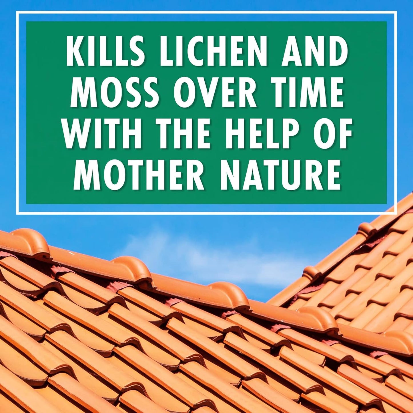 Mold and Mildew Stain Remover Concentrate | Spray & Walk Away Outdoor Cleaner | 1 Gallon