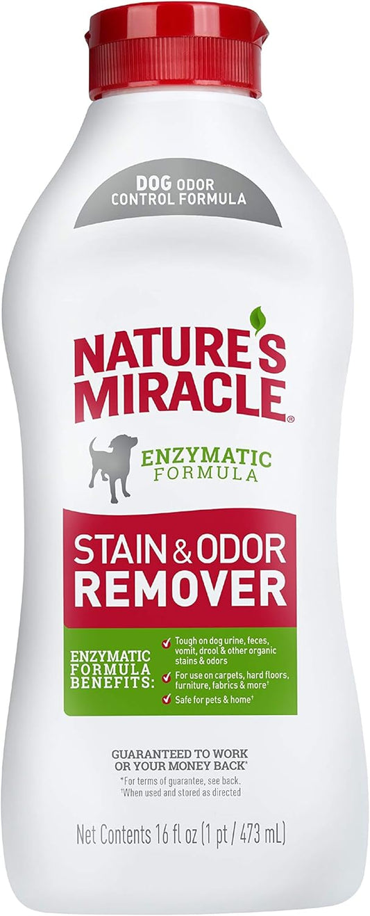 Stain and Odor Remover Dog, 32 Ounces, Everyday Mess Enzymatic Odor Control Formula