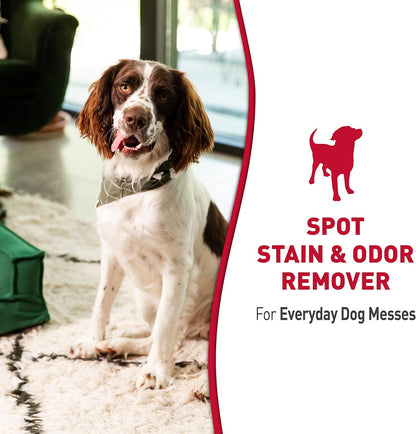 Stain and Odor Remover Dog, 32 Ounces, Everyday Mess Enzymatic Odor Control Formula