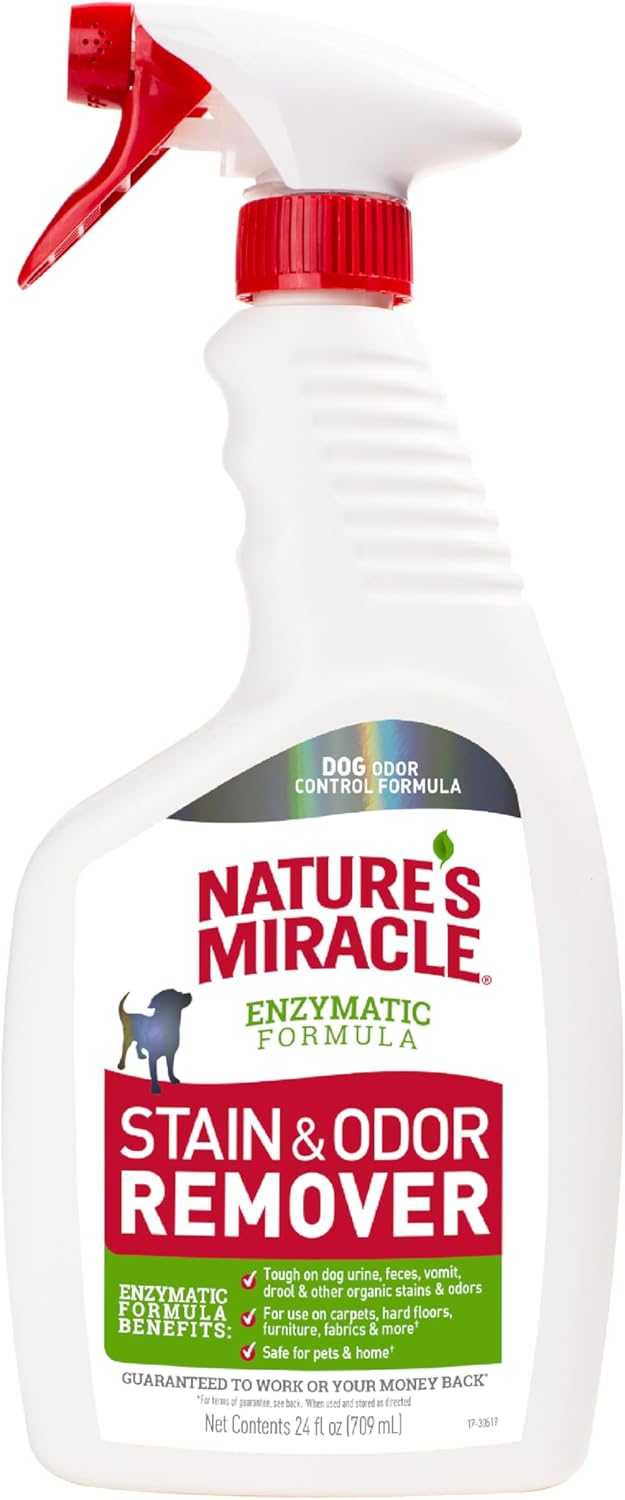 Stain and Odor Remover Dog, 32 Ounces, Everyday Mess Enzymatic Odor Control Formula