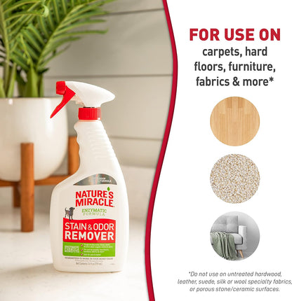 Stain and Odor Remover Dog, 32 Ounces, Everyday Mess Enzymatic Odor Control Formula