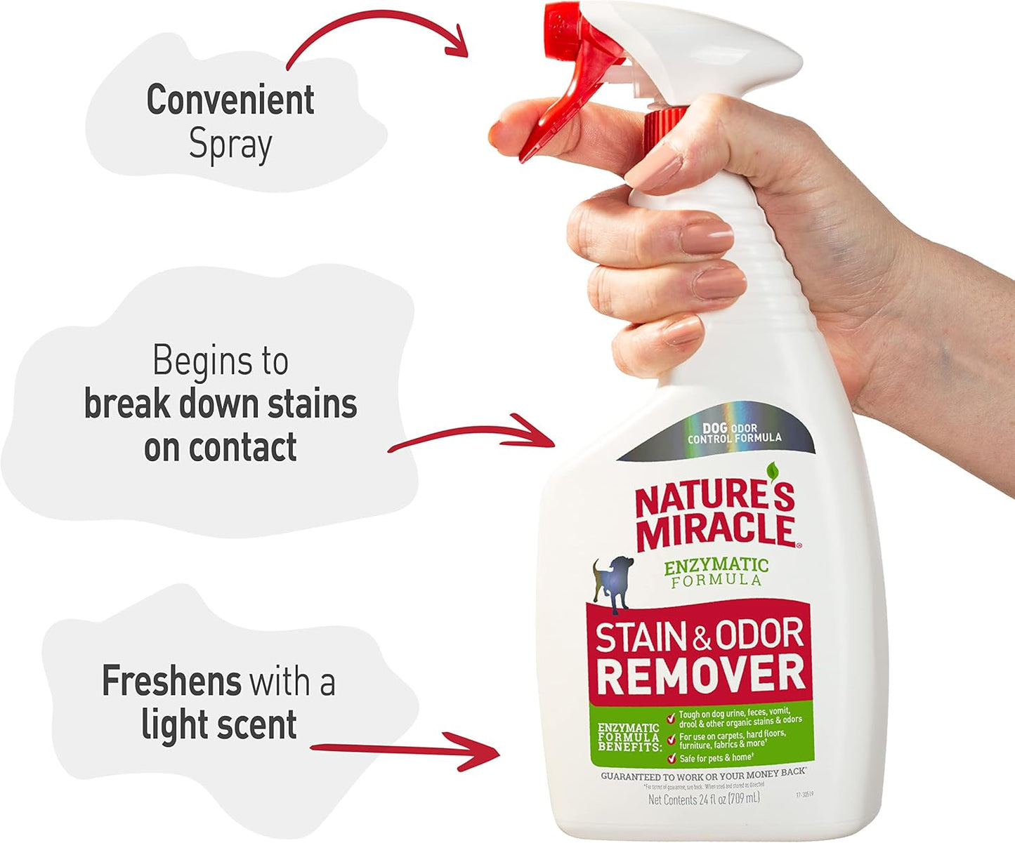 Stain and Odor Remover Dog, 32 Ounces, Everyday Mess Enzymatic Odor Control Formula
