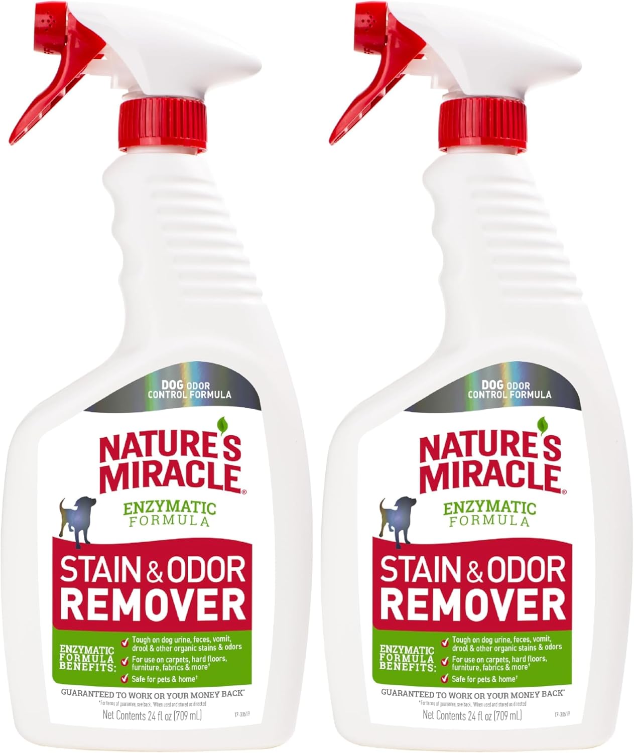 Stain and Odor Remover Dog, 32 Ounces, Everyday Mess Enzymatic Odor Control Formula