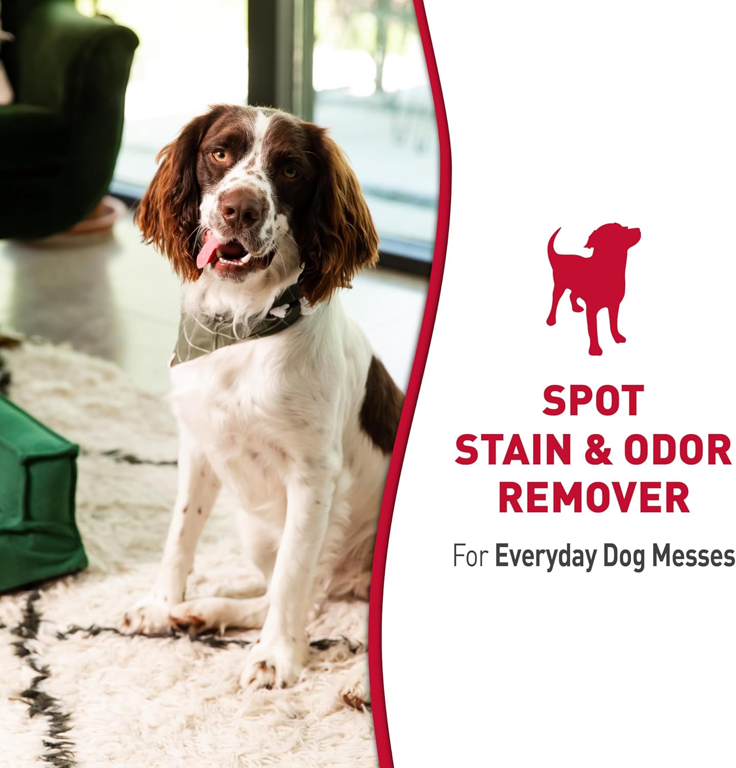 Stain and Odor Remover Dog, 32 Ounces, Everyday Mess Enzymatic Odor Control Formula