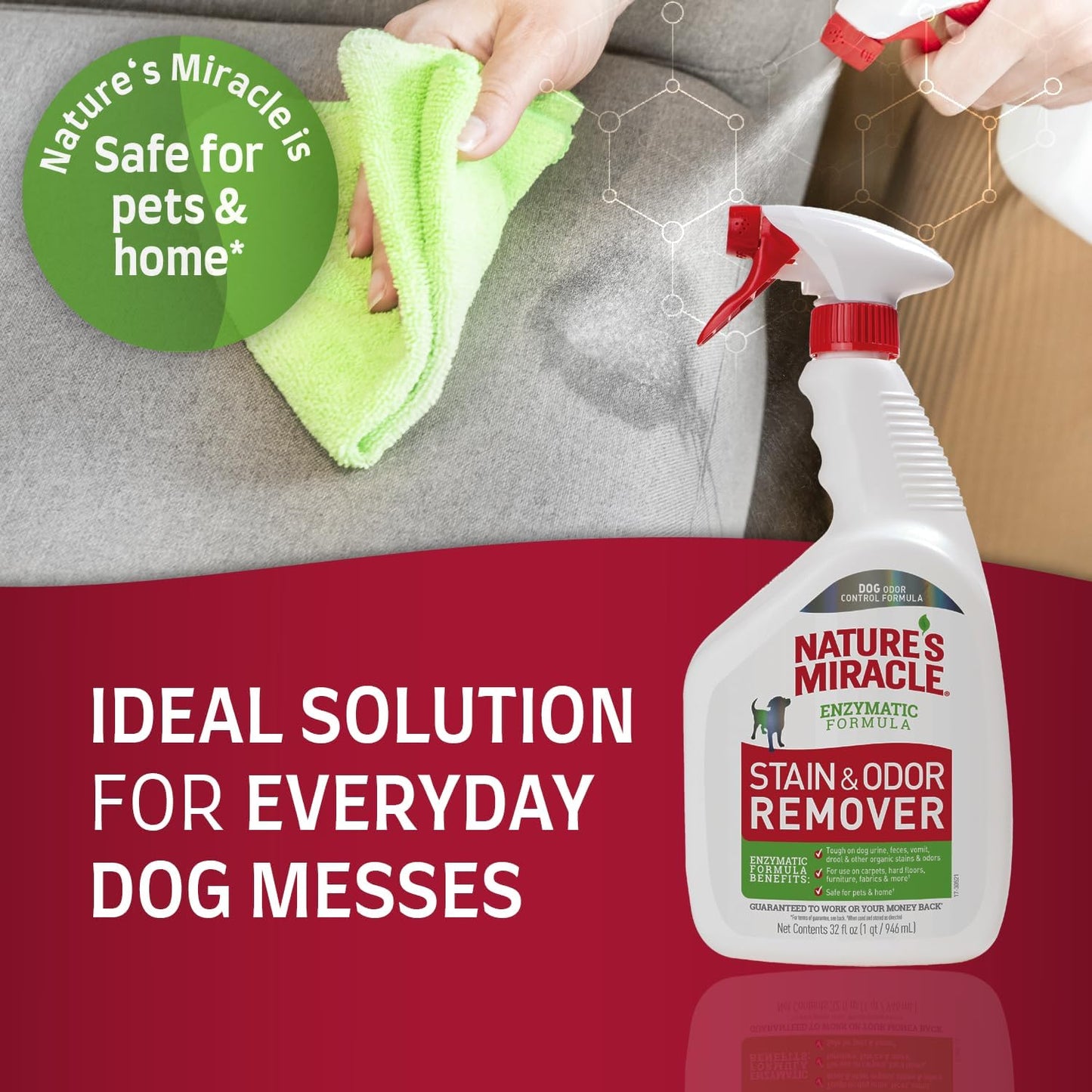 Stain and Odor Remover Dog, 32 Ounces, Everyday Mess Enzymatic Odor Control Formula