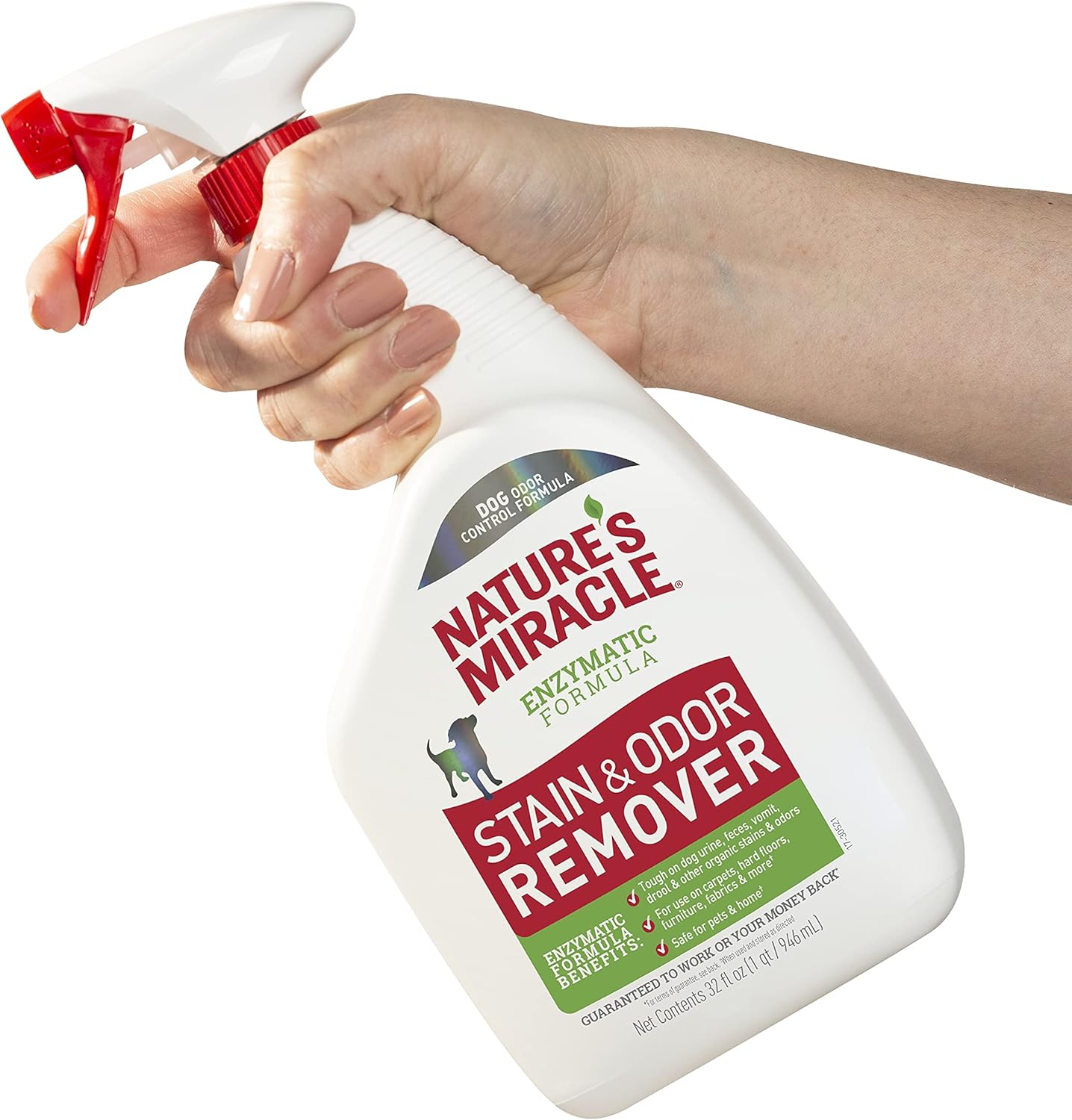 Stain and Odor Remover Dog, 32 Ounces, Everyday Mess Enzymatic Odor Control Formula